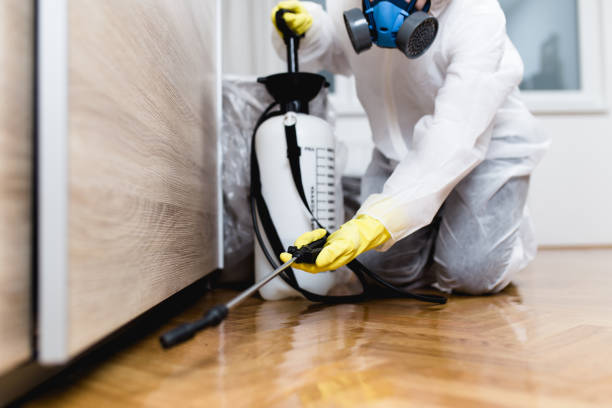 Best Bed Bug Extermination  in Bagley, MN