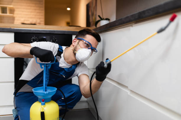 Best Residential Pest Control  in Bagley, MN