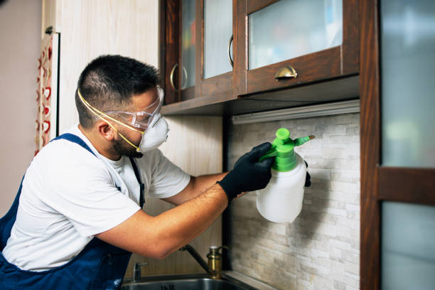 Best Exterminator Services  in Bagley, MN