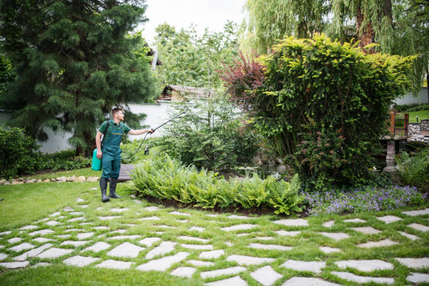Best Pest Inspection Near Me  in Bagley, MN