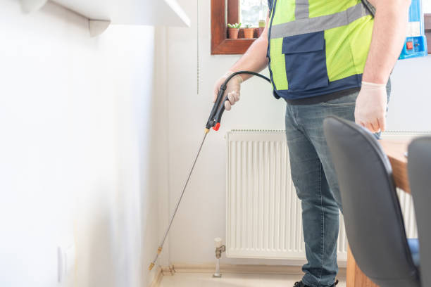 Best Termite Control Services  in Bagley, MN