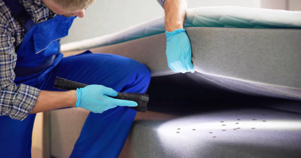Best Flea Control Services  in Bagley, MN