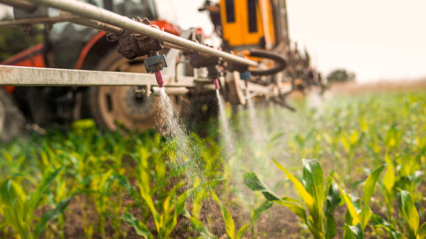 Best Pest Removal Services  in Bagley, MN